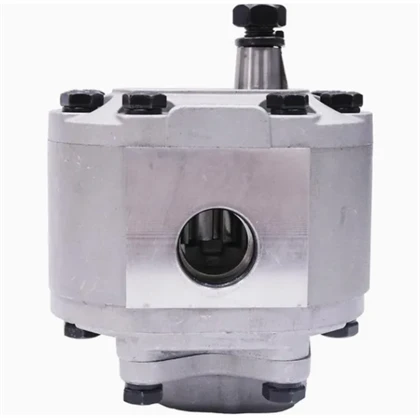 Power Steering Pump Hydraulic Gear Pump Foar Tractor D5nn600c 83903943